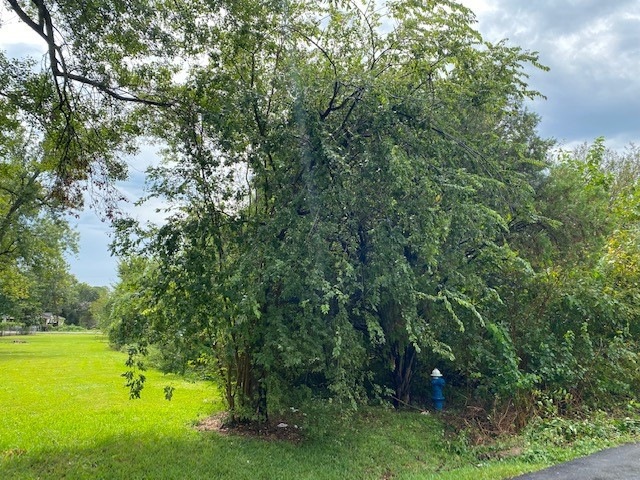 10426 Bantum St, Houston, TX 77093 - photo 1