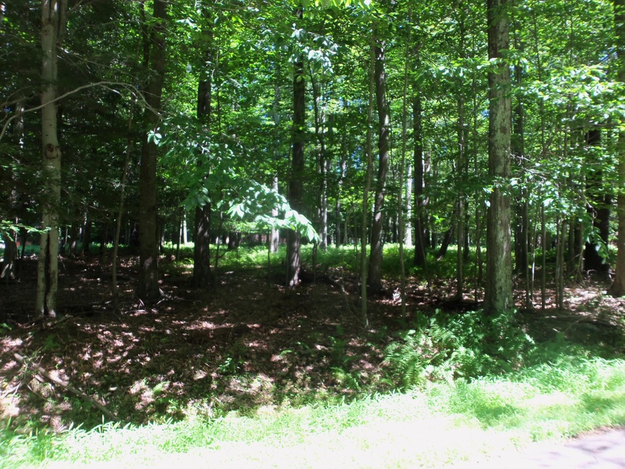 119 Andromeda Cir, Salem Township, PA 18436 - photo 1