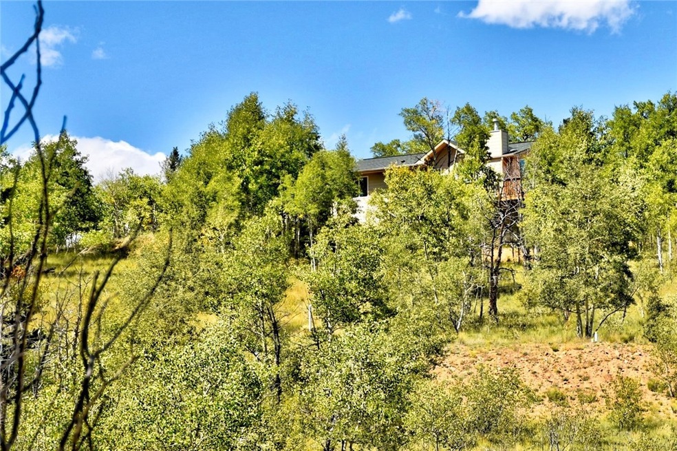 293 Squaw Trail, Como, CO 80432 - photo 1