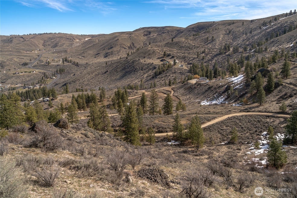 0 Yarbrough Dr unit NWM2360786, Orondo, WA 98816 - photo 1