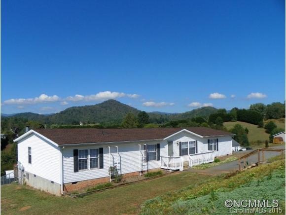 28 Austin Hunter Ln, Leicester, NC 28748 - photo 1