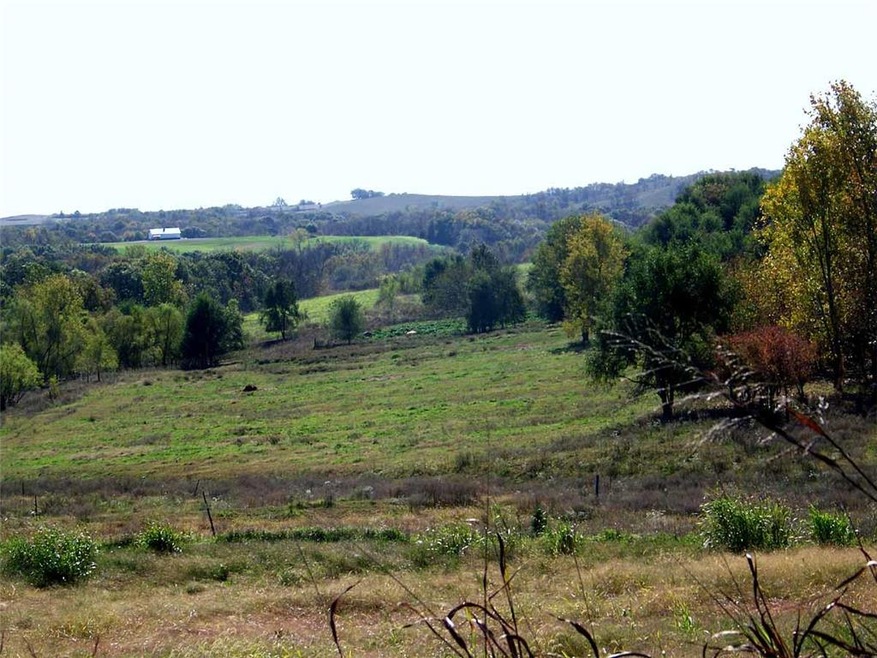 Big View