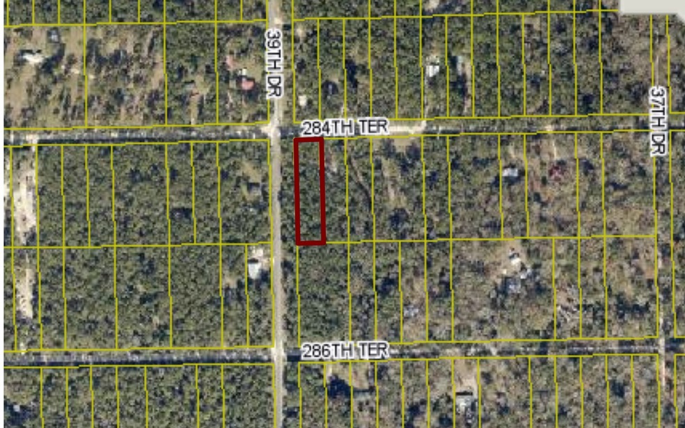 TBD 39th Dr, Branford, FL 32008 - photo 1