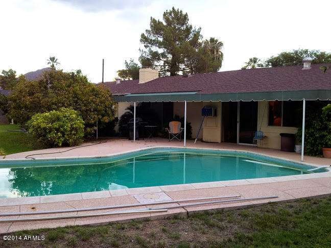 back yard 1
