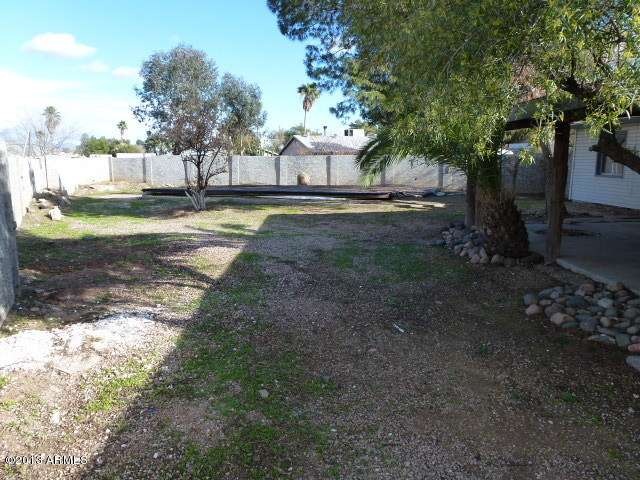 023-339747 - Backyard 1