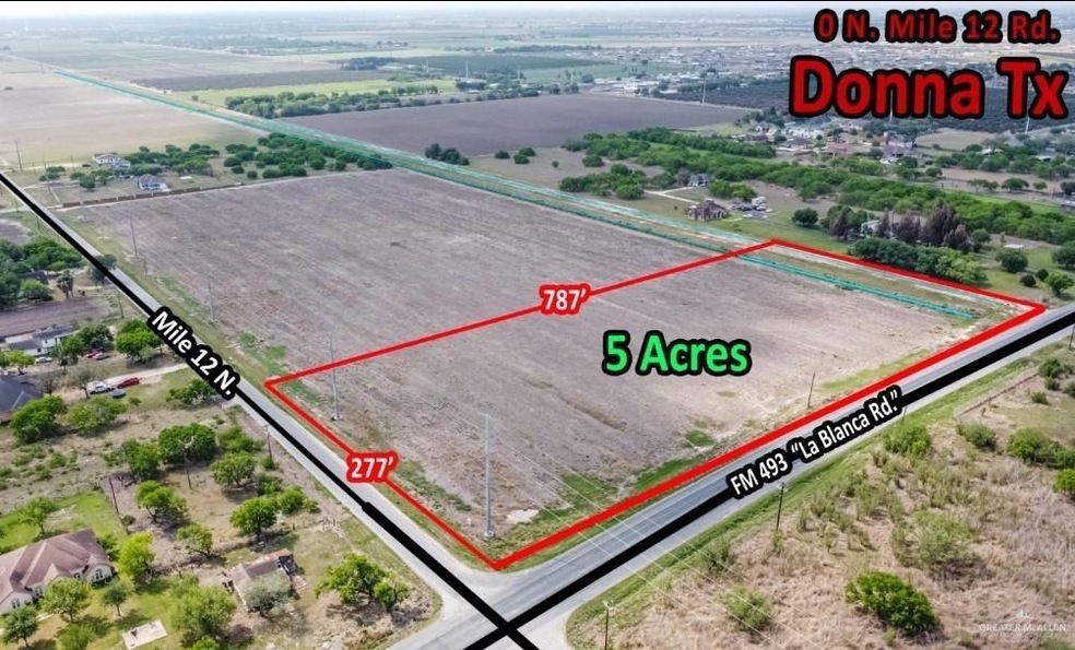 0 N Fm 493 Rd unit 355429, Donna, TX 78537 - photo 1