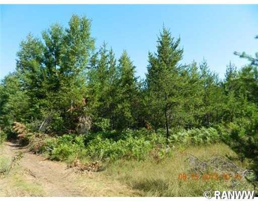 0 N Black Brook Rd unit 869582, Webster, WI 54893 - photo 1