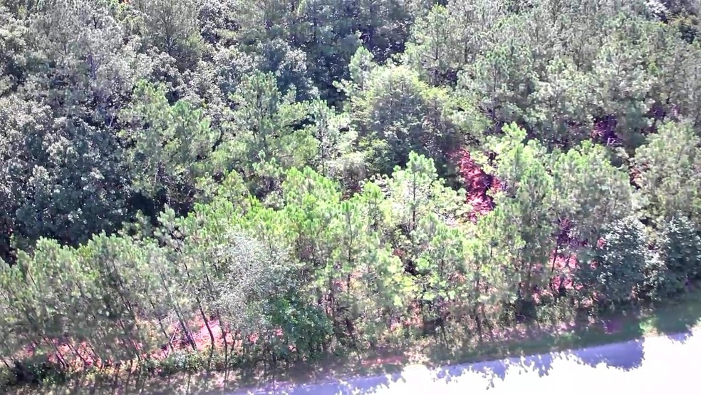 000 Sand Mt Rd, Enville, TN 38332 MLS 233238