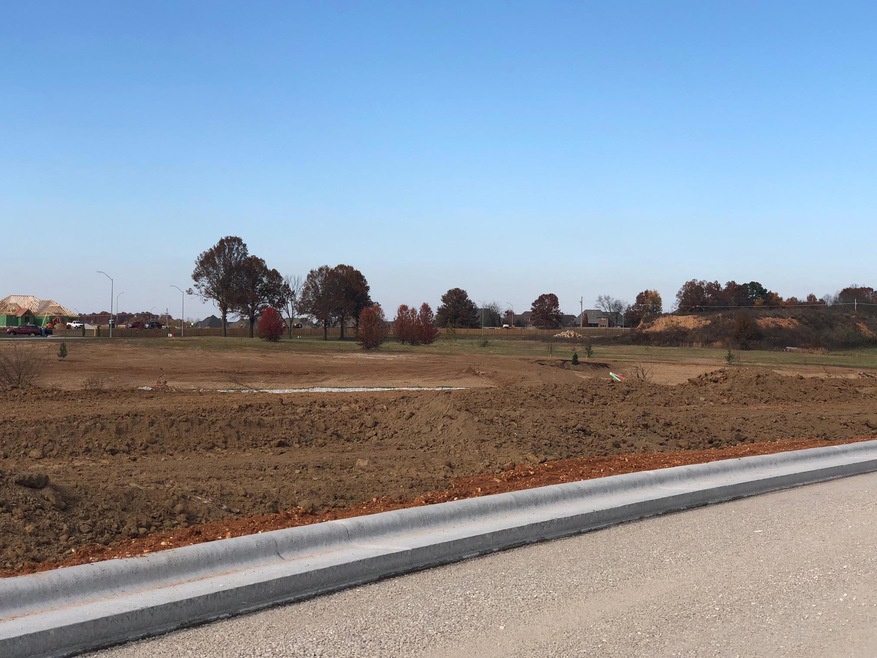 Lot 33 Village of Ashford, Nixa, MO 65714 - photo 1