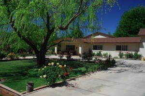 Curb Appeal