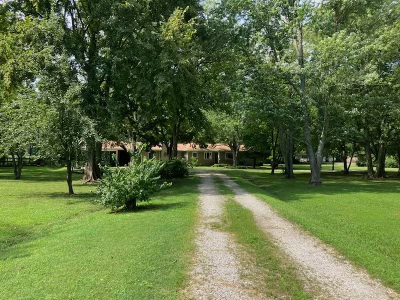 749 W Cato Springs Rd, Fayetteville, AR 72701 - photo 1