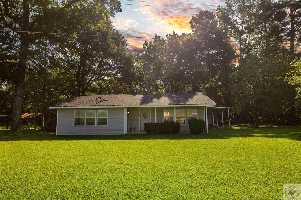 157 County Road 1230, Texarkana, TX 75501 - photo 1