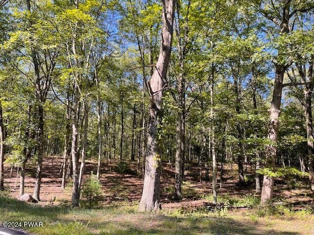 Lot 36 Mt Shadow Ln & Roosie Rd, Bushkill, PA 18324 - photo 1
