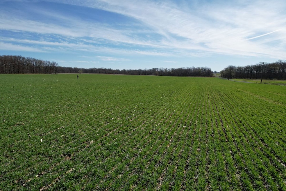 Off Pintail Rd unit Lot WP002, Tamaroa, IL 62888 - photo 1