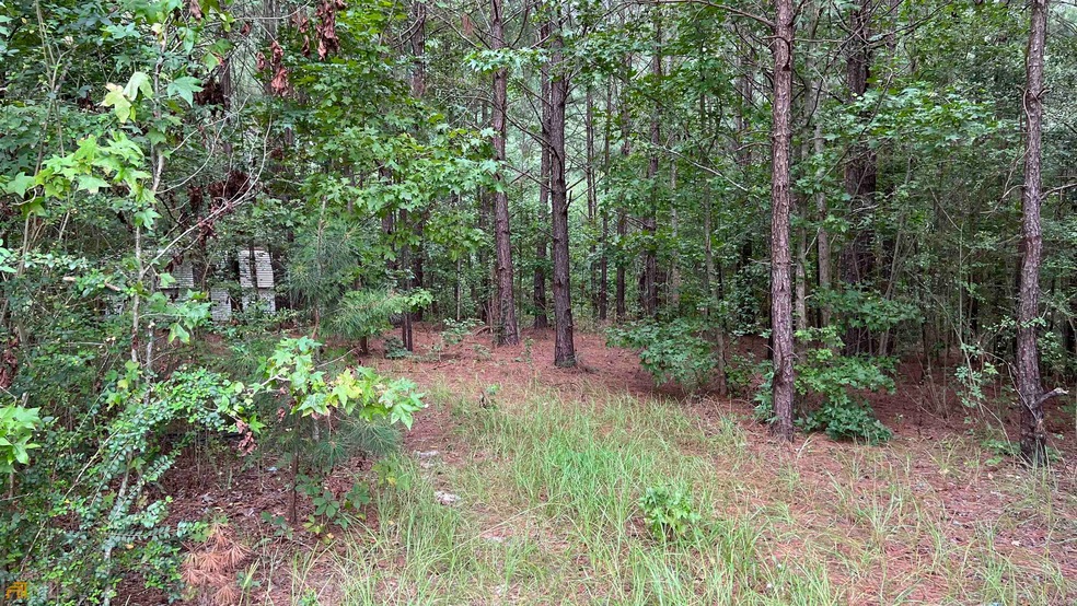 0 Bird Flanders Rd unit 20061683, Oak Park, GA 30401 - photo 1