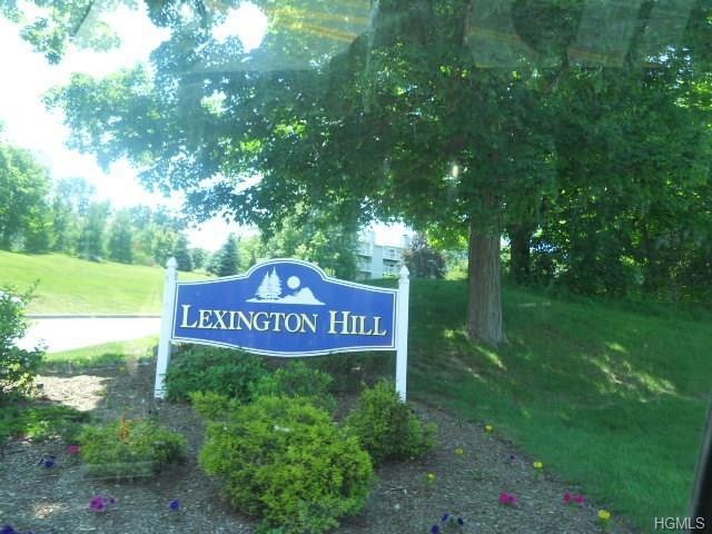 9 Lexington Hill unit 5, Harriman, NY 10926 - photo 1