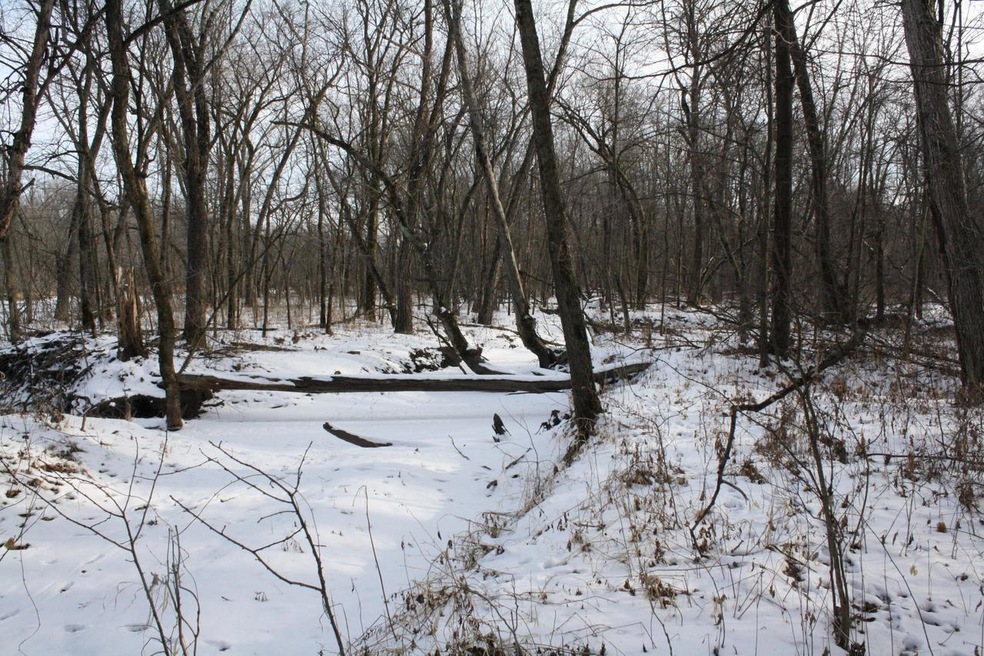 0 Hwy 35 unit 1723816, Caledonia, WI 54636 - photo 1