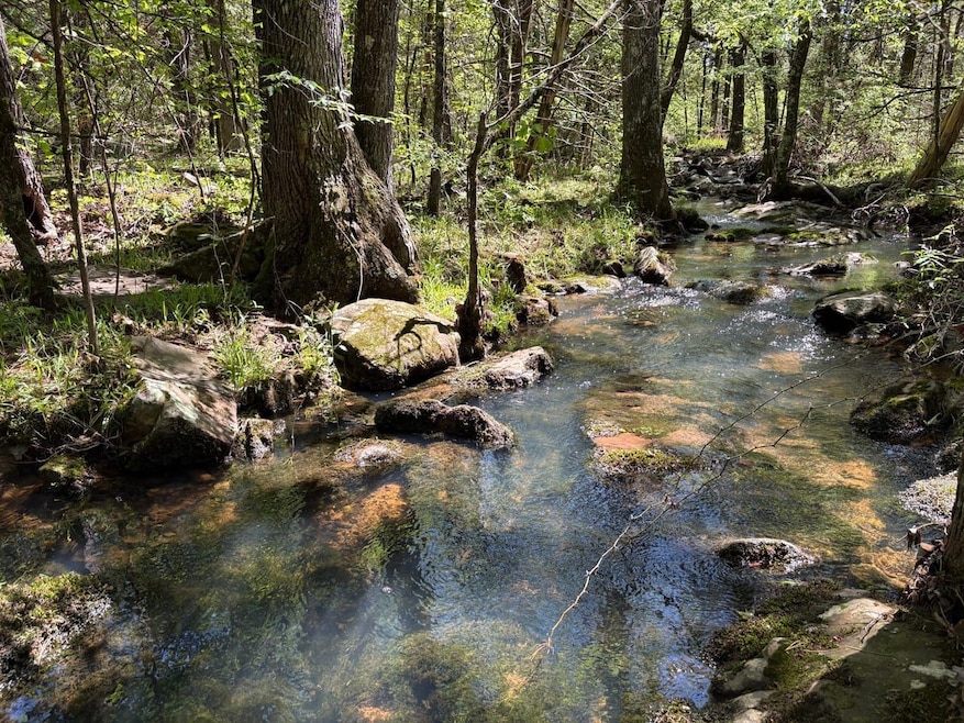 000 N Highway 41, Cecil, AR 72930 - photo 1