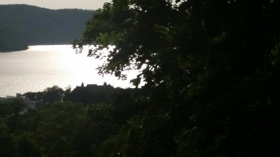 Lot 4 Hunters Glenn Ln, Ruth B Rural Township, MO 65686 - photo 1