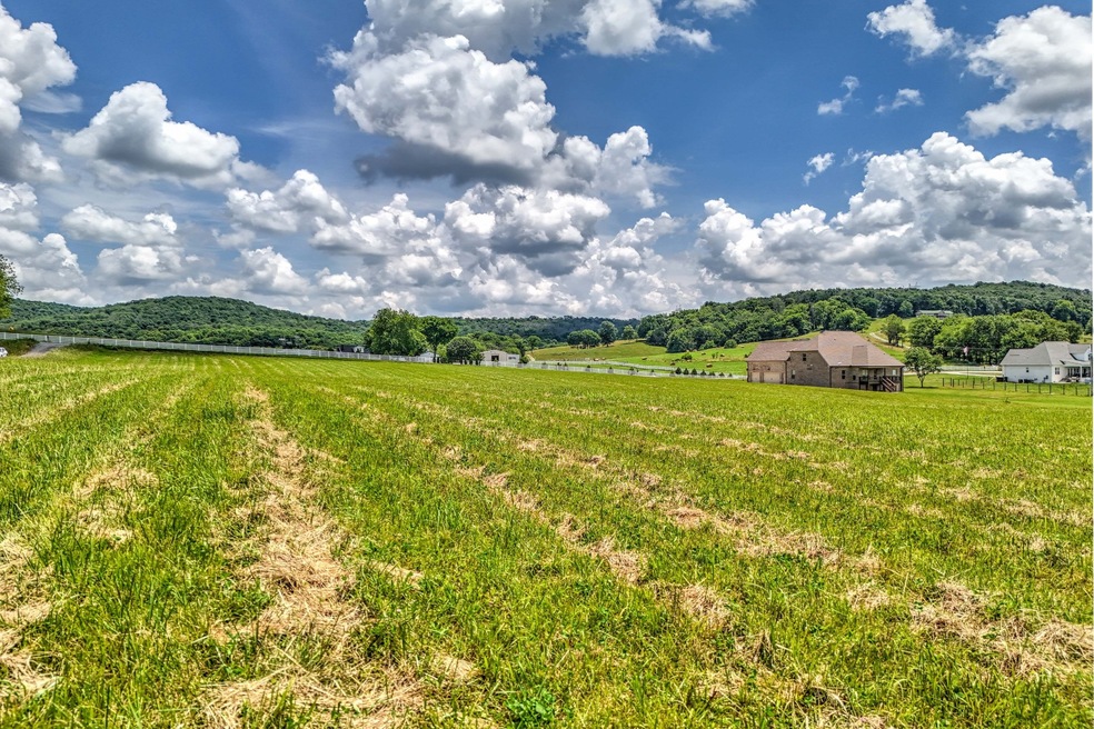 1484 Ben Green Rd, Lebanon, TN 37090 - photo 1