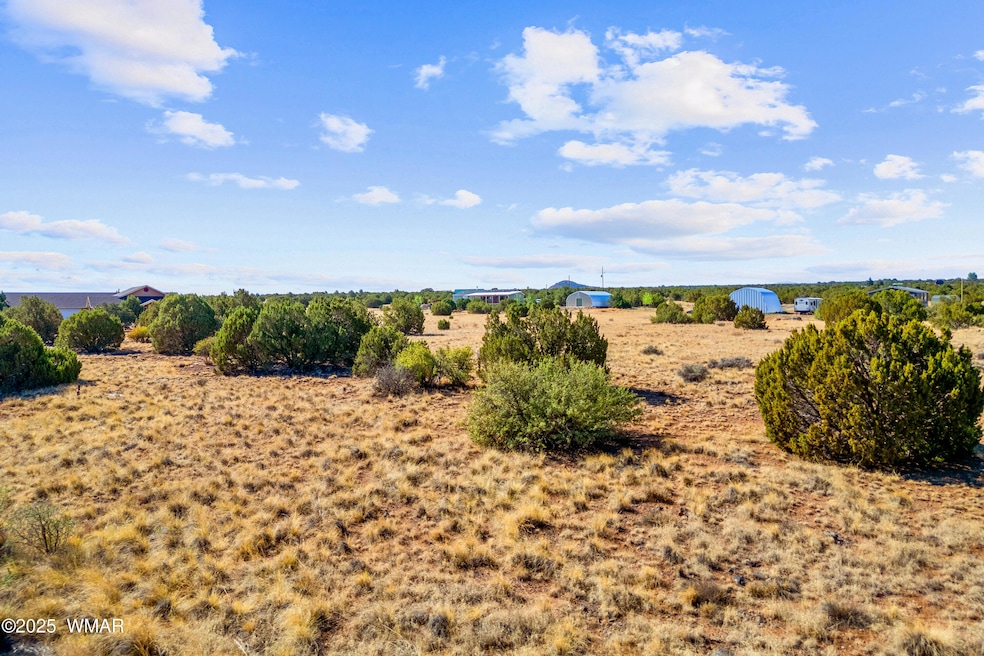 8487AlpinePl-ShowLow-AZ-1