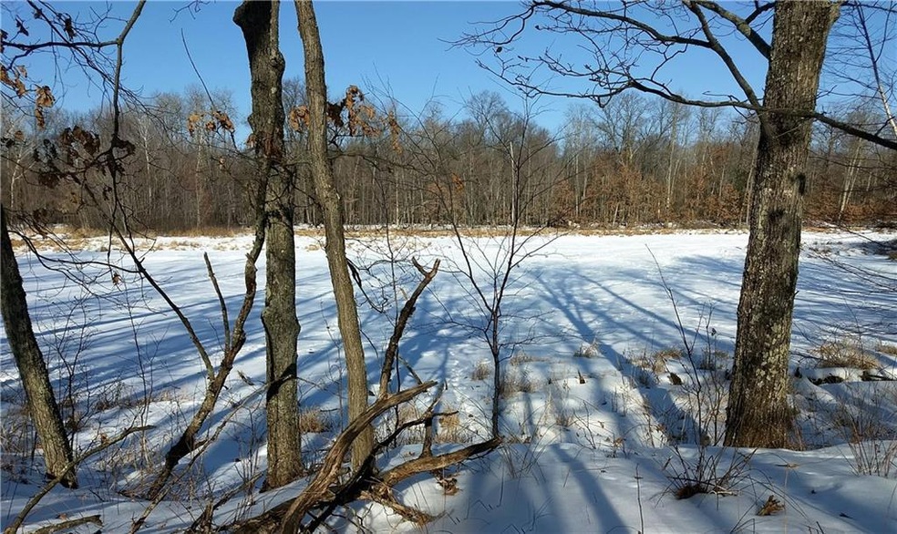 0 Lee Rd unit 1515415, Webster, WI 54893 - photo 1