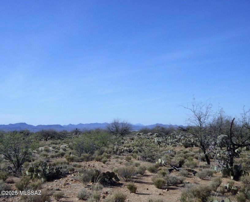 14987 S Carlsburg Ave unit 207, Tucson, AZ 85736 - photo 1