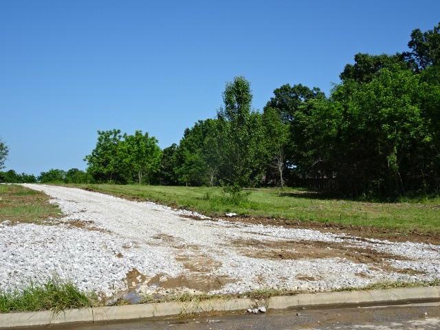 L11 the Village of Ashford, Nixa, MO 65714 - photo 1