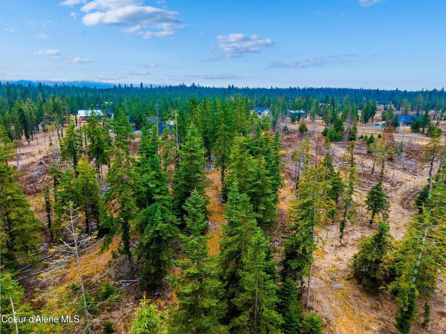 DJI_20241205071312_0165_D-HDR-Edit