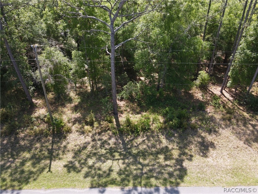 2710 W Century Blvd, Citrus Springs, FL 34434 - photo 1