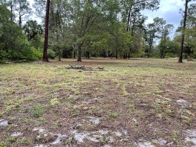 1910 Roosevelt Ave, Lehigh Acres, FL 33972 - photo 1