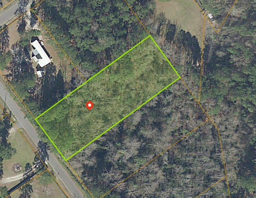 161 Crepe Myrtle Dr, Loris, SC 29569 - photo 1