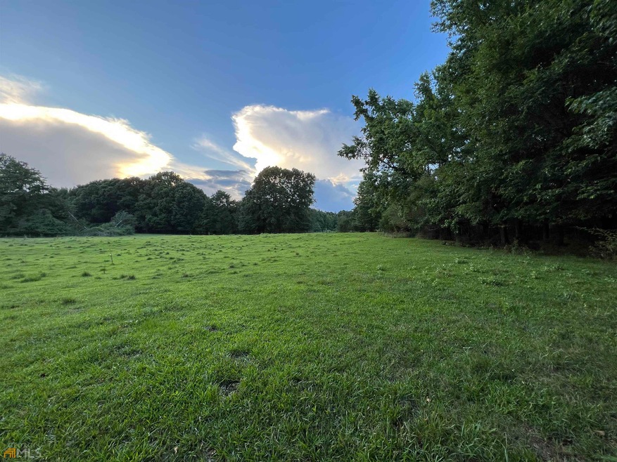 LOT 6 Jersey Covington Rd unit TRACT 5, Covington, GA 30014 - photo 1