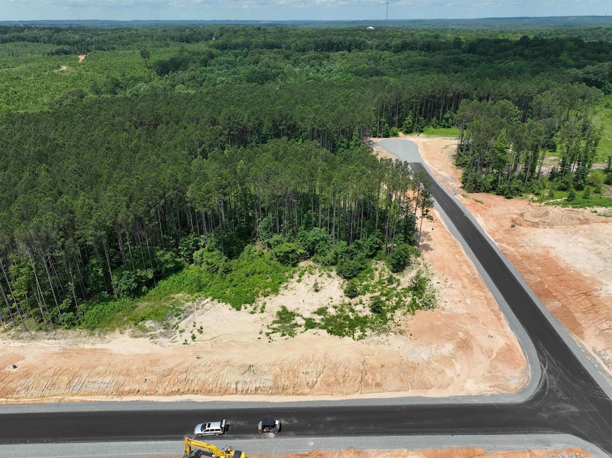 144 Mountain Pine Rd unit Tract 5, Mabelvale, AR 72103 - photo 1