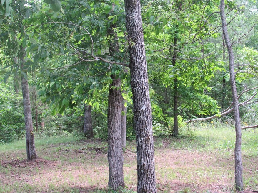 8 Crest Line Dr, Upatoi, GA 31829 - photo 1