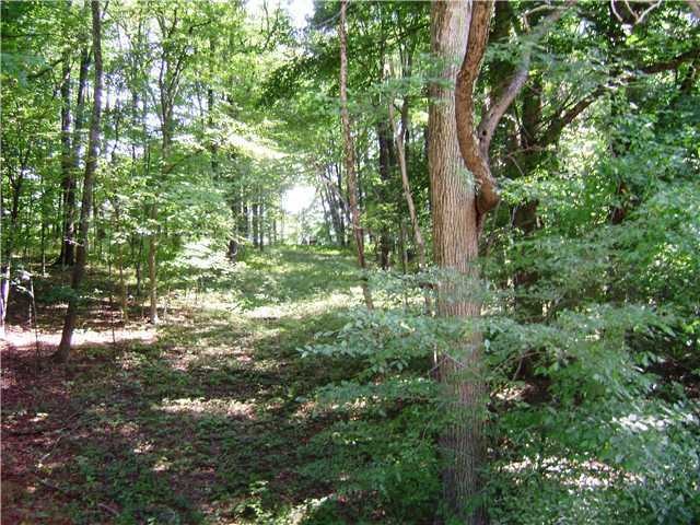 0 Valleyridge Dr unit 212001528, Howard Township, OH 43028 - photo 1