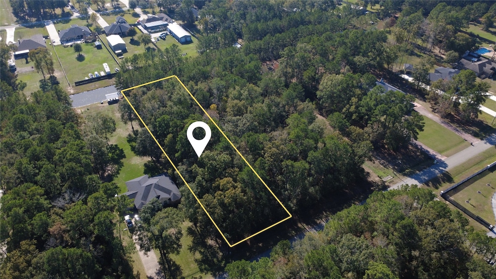 23080 Volga Dr, Porter, TX 77365 - photo 1