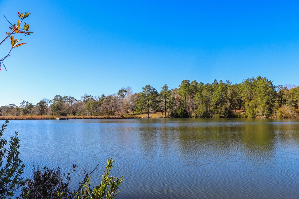 Lake View 1