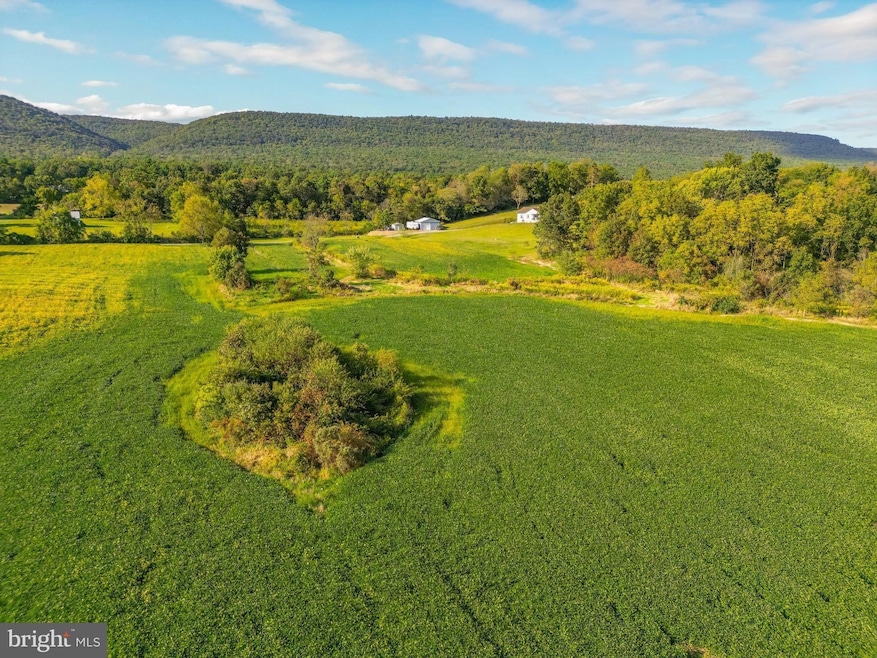 8781 Route 235, Beavertown, PA 17813 - photo 1