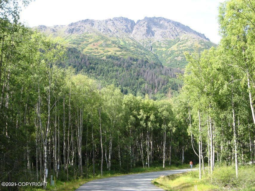 L33 Ledyard Circle, Indian, AK