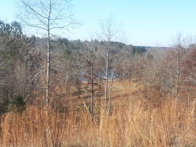 168 Highlands Dr, Oxford, MS 38655 - photo 1