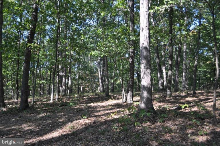 0 Highland Ridge Rd unit 1000167645, Berkeley Springs, WV 25411 - photo 1