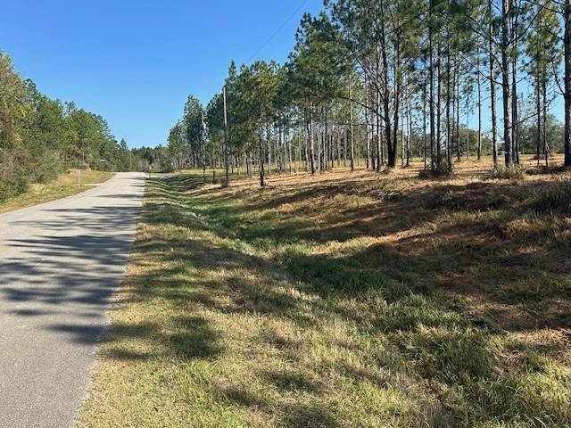 0 Hampton Rd unit 7597551, Mobile, AL 36608 - photo 1