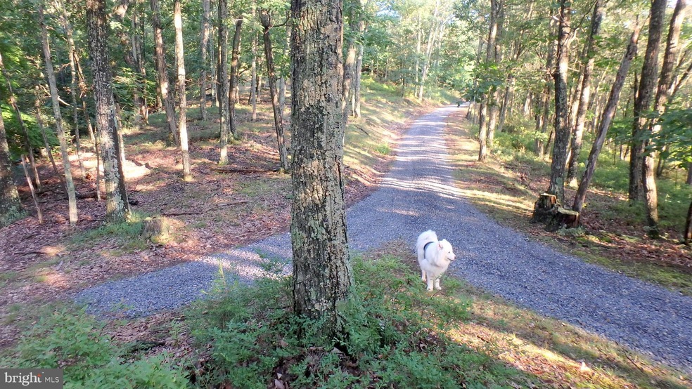 LOT 258 Nathaniel Mountain Rd, Moorefield, WV 26836 - photo 1