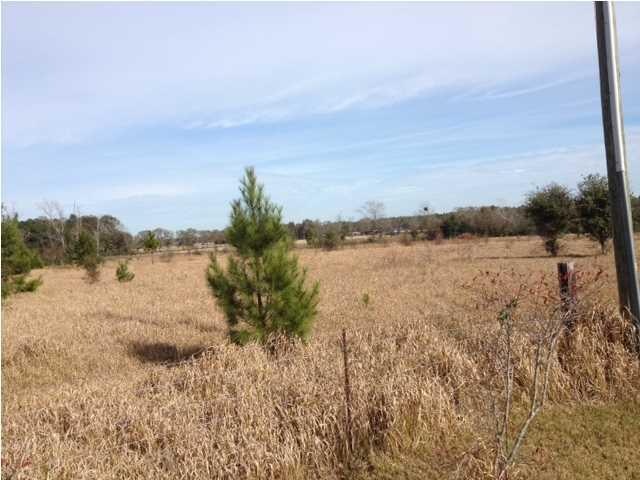 0 Albert Evans Rd unit 258207, Wilmer, AL 36587 - photo 1