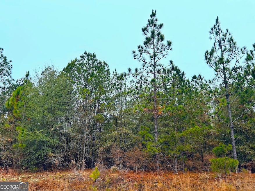 0 Jw Miller Rd unit 10655806, Reynolds, GA 31076 - photo 1