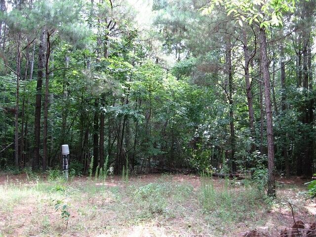 0 Athens Rd, Mendenhall, MS 39114 - photo 1