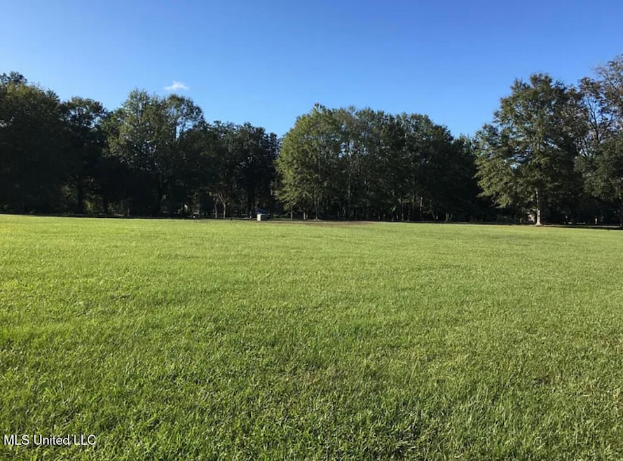 Lot 4 Lancair Dr, Picayune, MS 39466 - photo 1