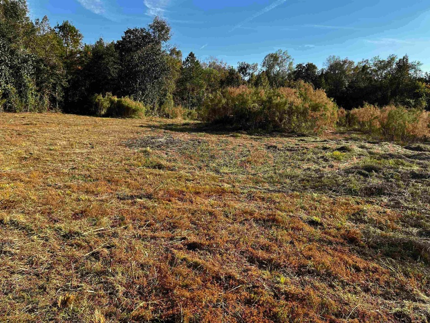 0 Fla-Ga Hwy unit 357705, Havana, FL 32333 - photo 1