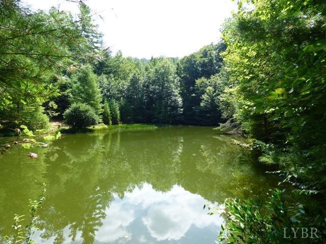 0 Pedlar River Rd unit 294062, Amherst, VA 24521 - photo 1